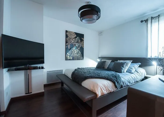 T4 8 Personnes De Grand Standing Classe 4 Etoiles En Plein Centre De Lary Soulan アパート