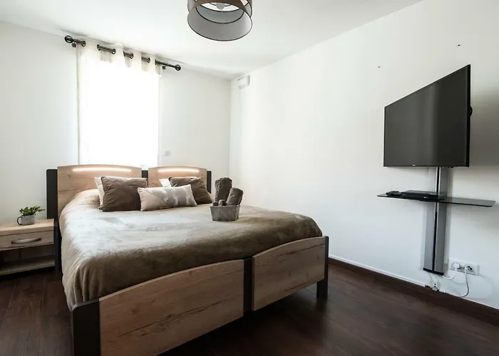 T4 8 Personnes De Grand Standing Classe 4 Etoiles En Plein Centre De Lary Soulan Lägenhet Saint-Lary-Soulan